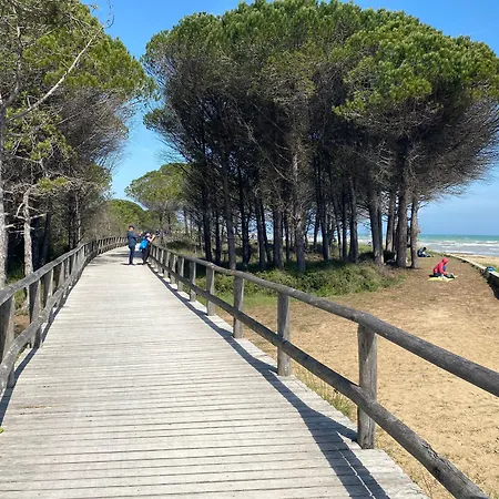 Cozy Flat In A With Swimming Pool Bibione
