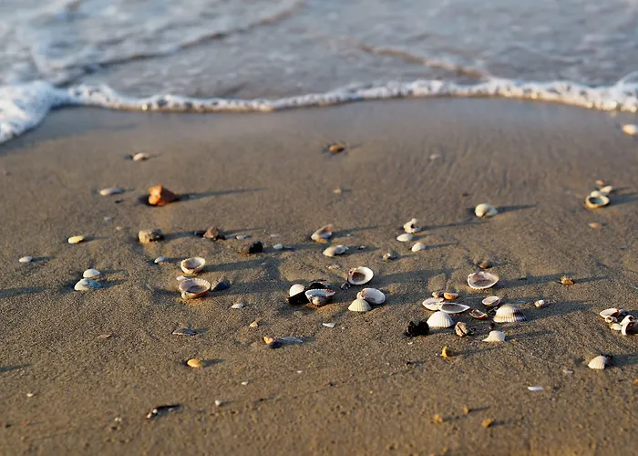 Cozy Flat In A With Swimming Pool * Bibione